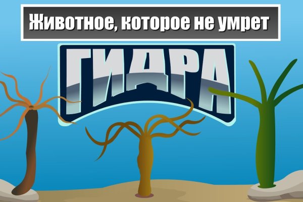 Логин и пароль от кракен