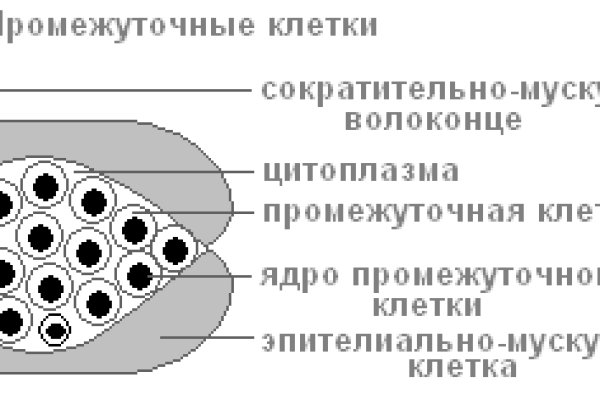 Кракен сайт нарк