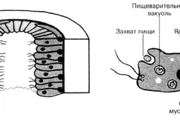 Кракен ссылка германия