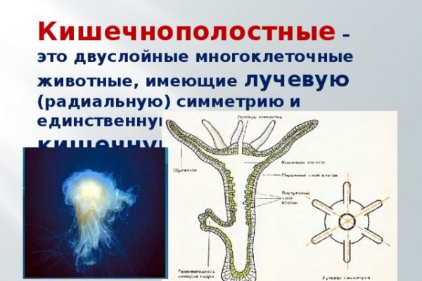Войти на кракен