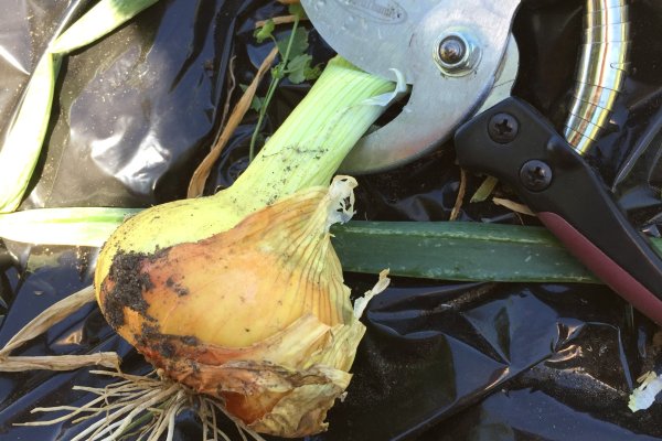 Кракен ссылка официальная на тор