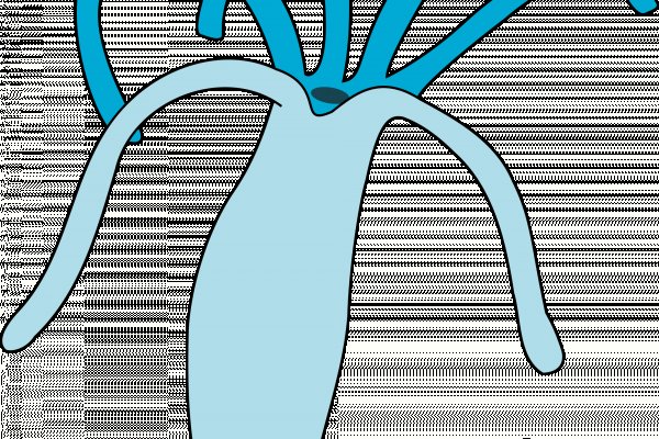 Кракен онион